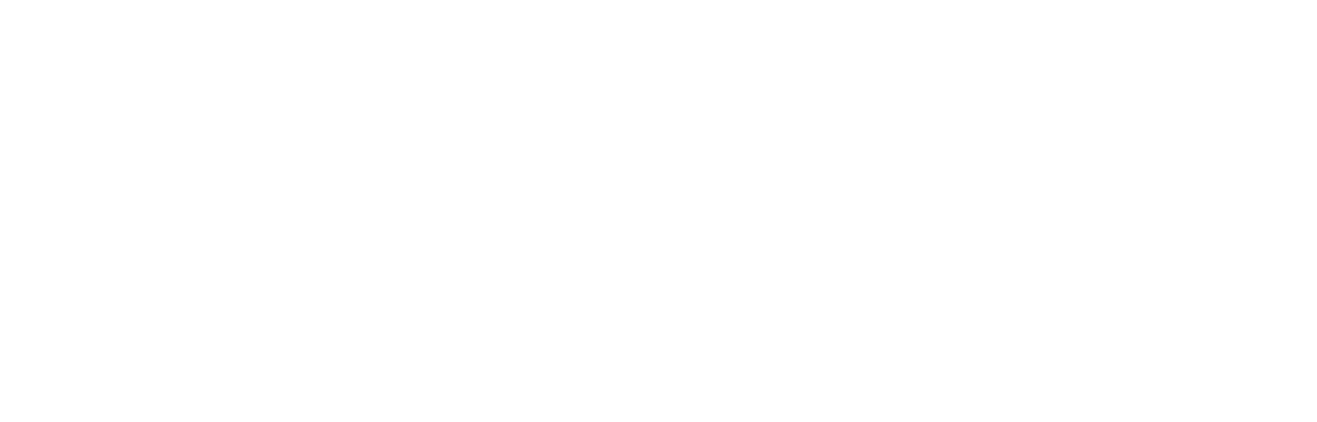 Daniela-Viscardi_Homescreen